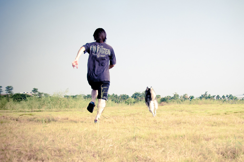 Catch me if you can !