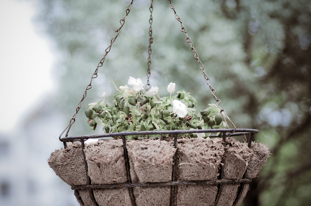 flower pod