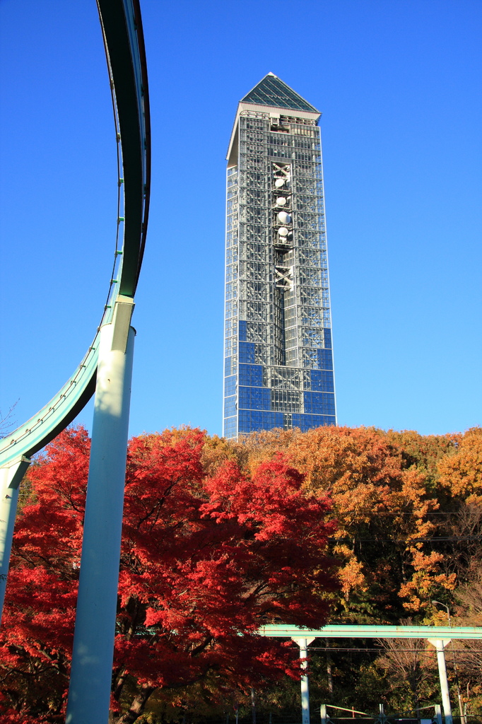 秋の東山スカイタワー
