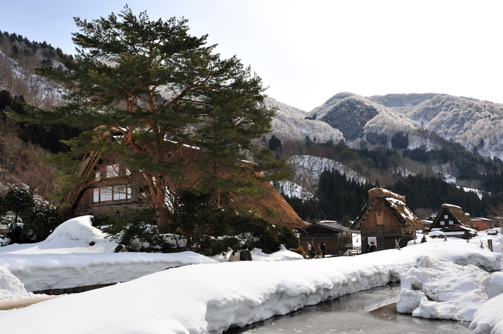 築300年余の風格