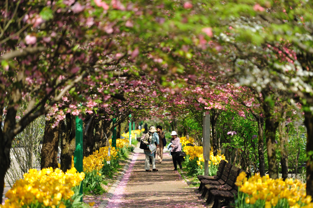 Tunnel of flower