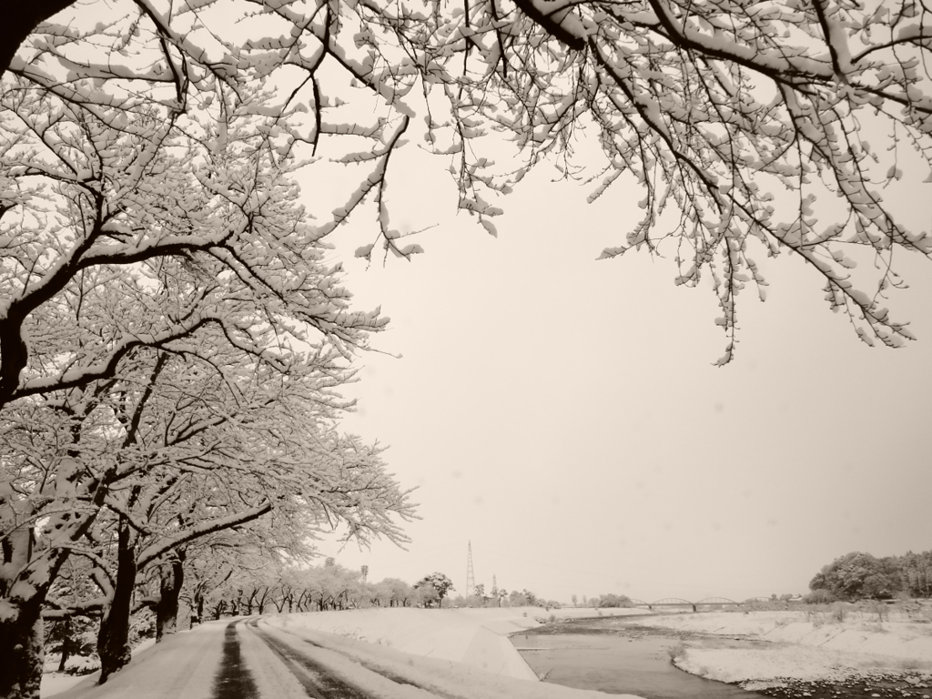 なごり雪