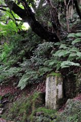 山中温泉　奥の細道