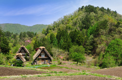 山里の春