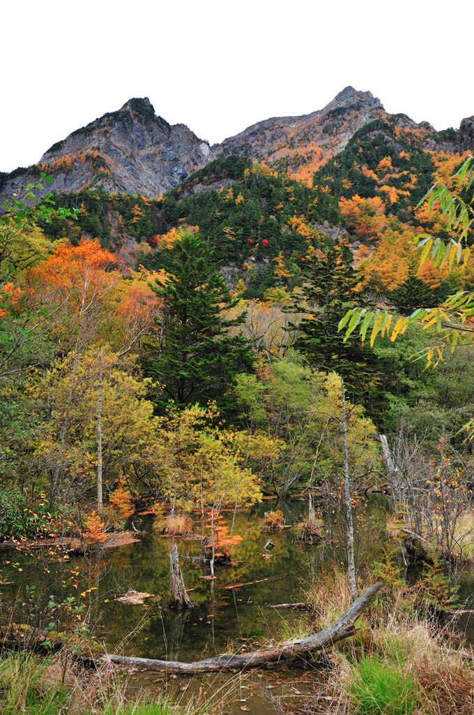 上高地　岩峰萌える