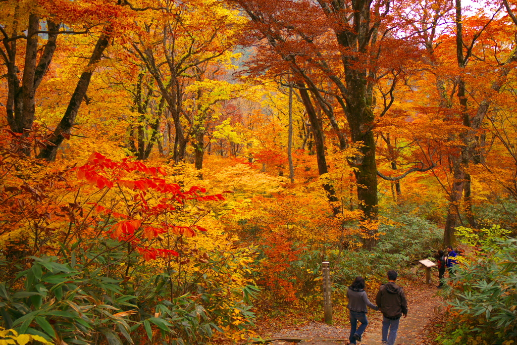 紅葉浴♪♪♪