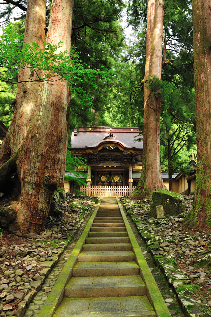 永平寺　唐門