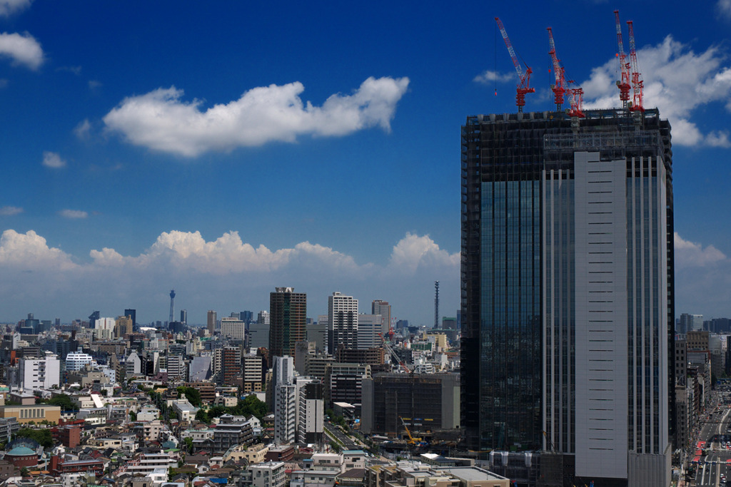 真夏の空　天に伸びる