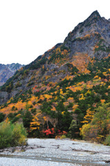 上高地　色づく明神岳