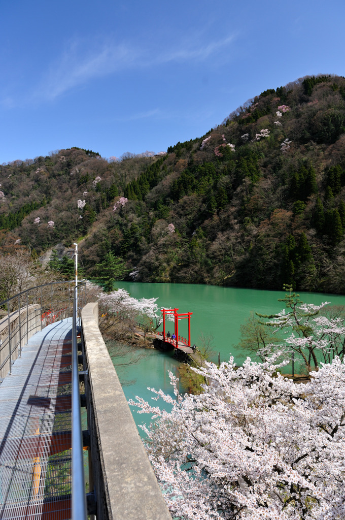 山も春化粧♪