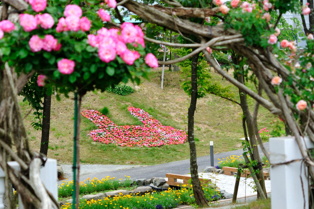 ウサギ花壇(^.^)