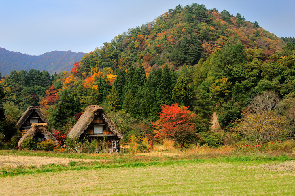山里の秋