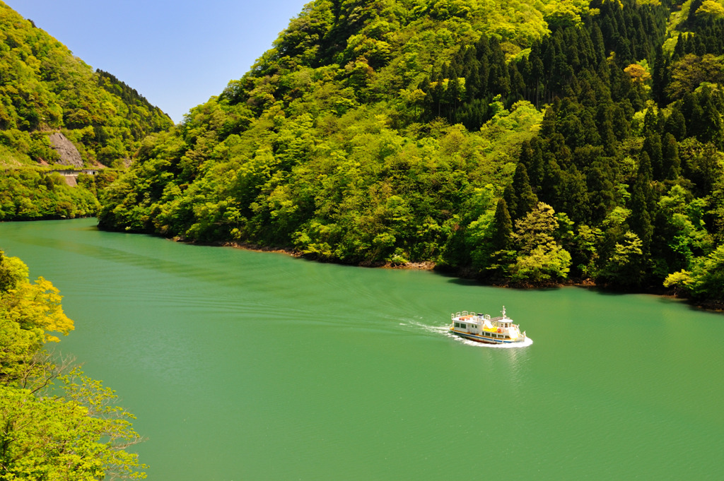 新緑の庄川峡