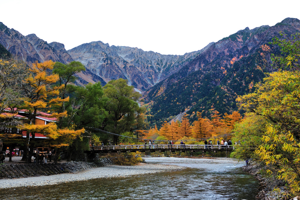 上高地　河童橋　紅葉まっただ中♪