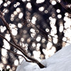 雪解け