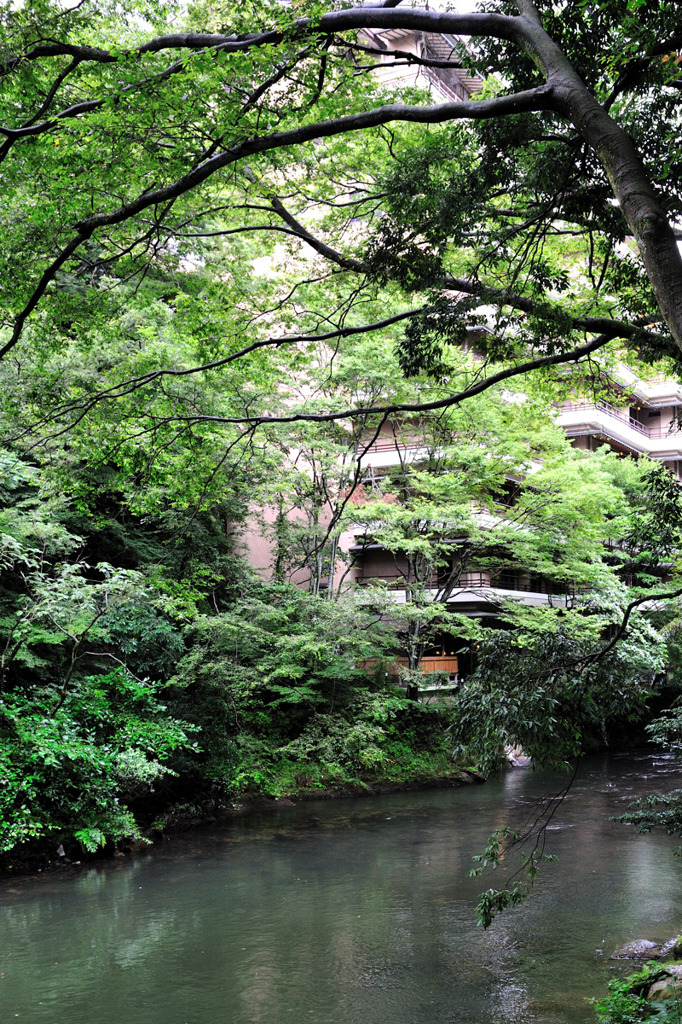 山中温泉　鶴仙渓　川縁の湯