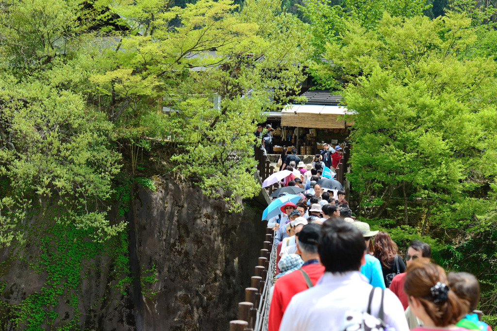 山里　押し寄せる・・・