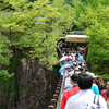山里　押し寄せる・・・