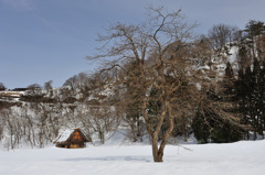 春を待つ山里