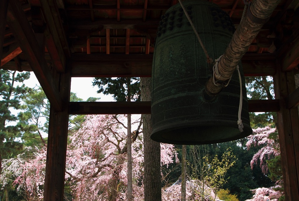 醍醐寺にて