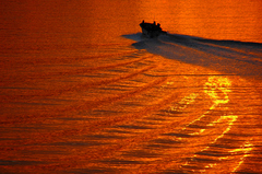 橙を滑る舟