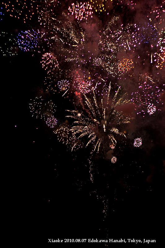 Flowers in the Sky