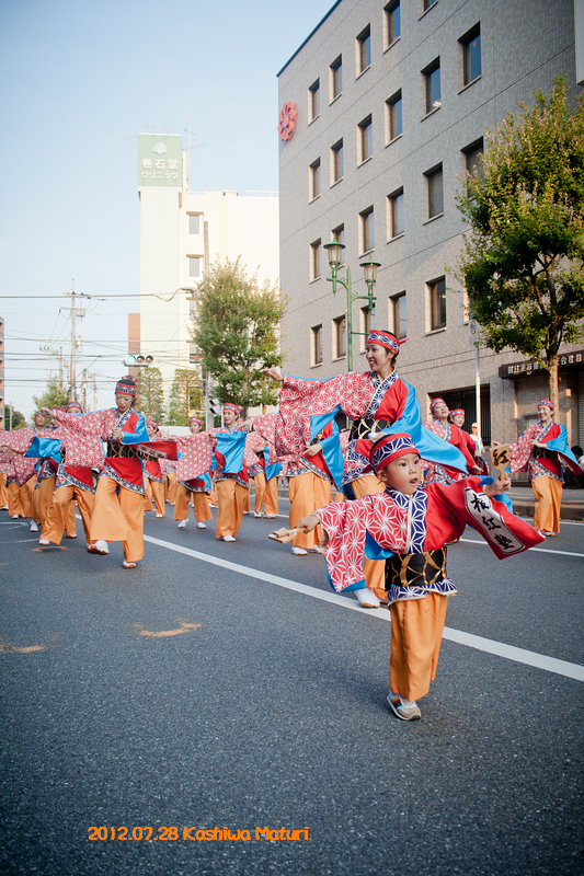 柏夏祭り
