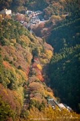 高尾山