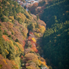 高尾山
