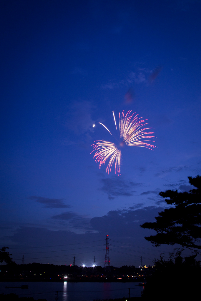 手賀沼花火大会2014