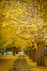 気象大学