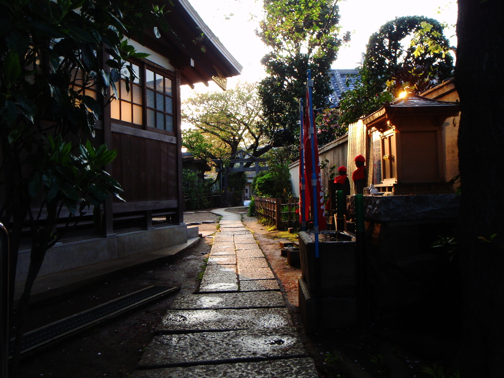 雨上がり