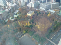 展望室から　いい眺めです。２