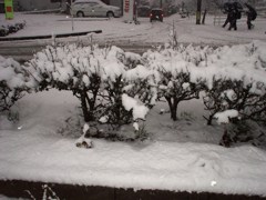 家の近くの道