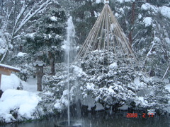 兼六園です。
