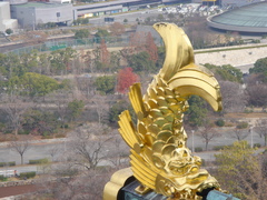 金のシャチ？
