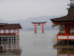 厳島神社からの大鳥居①