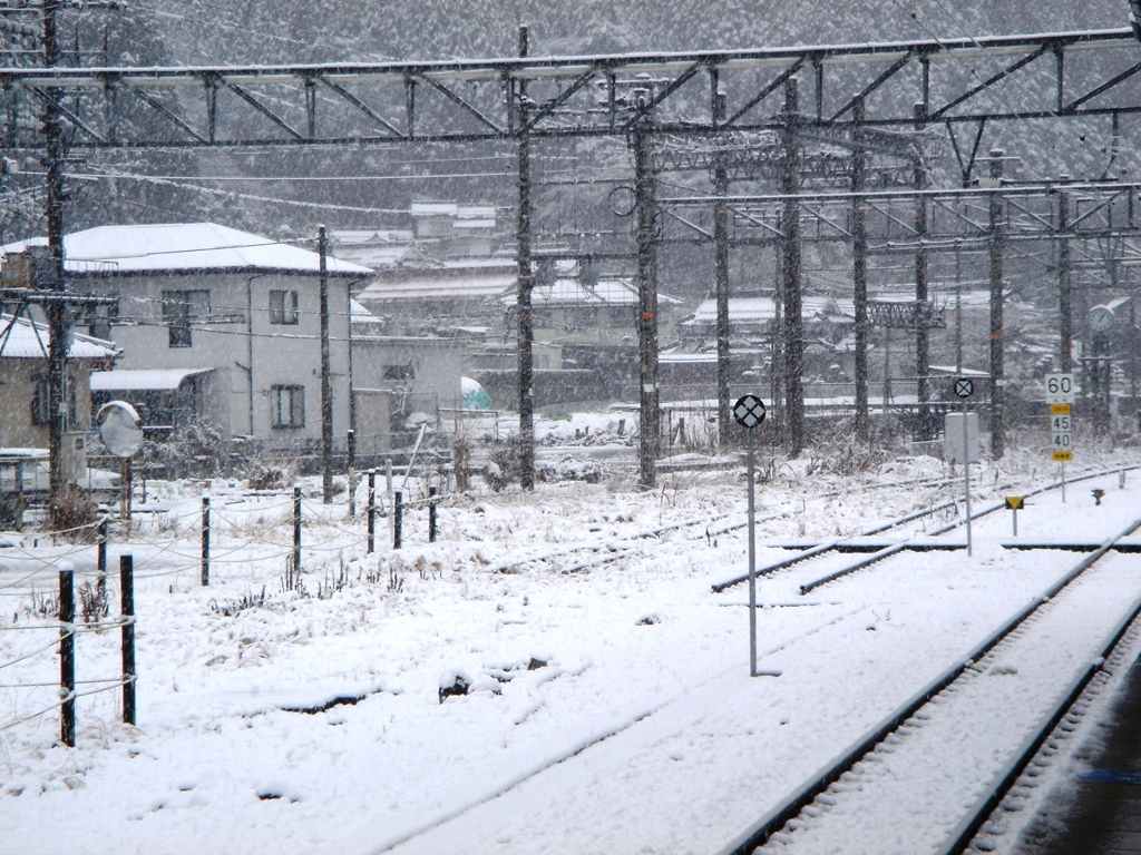 旅先帰り道（因美線にて）大雪③