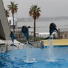 水族館