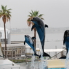 水族館