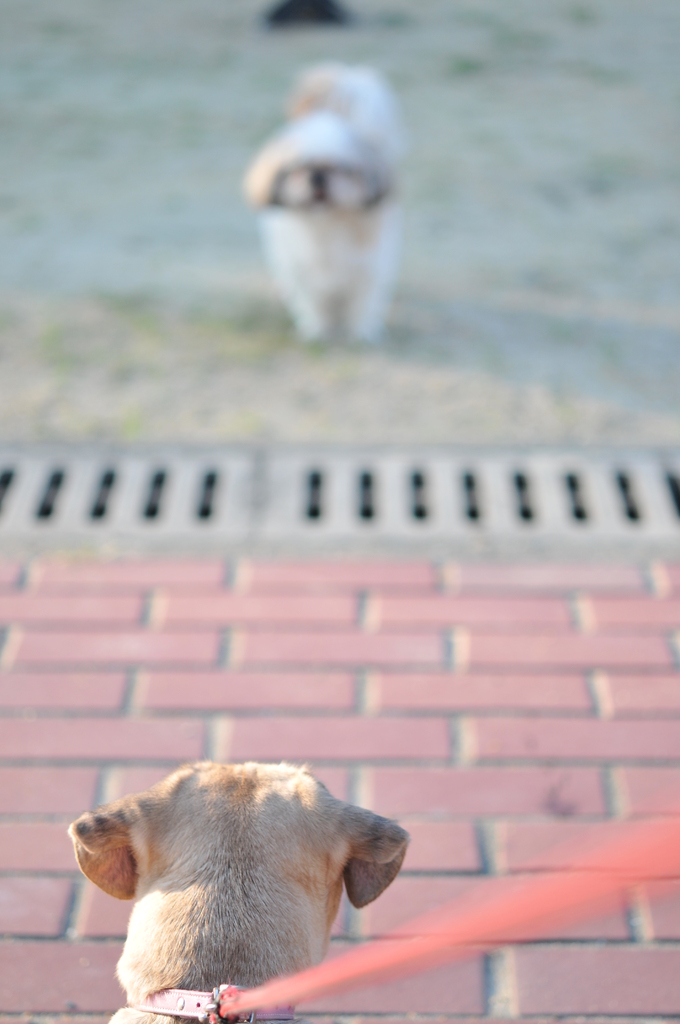 DSC_1909