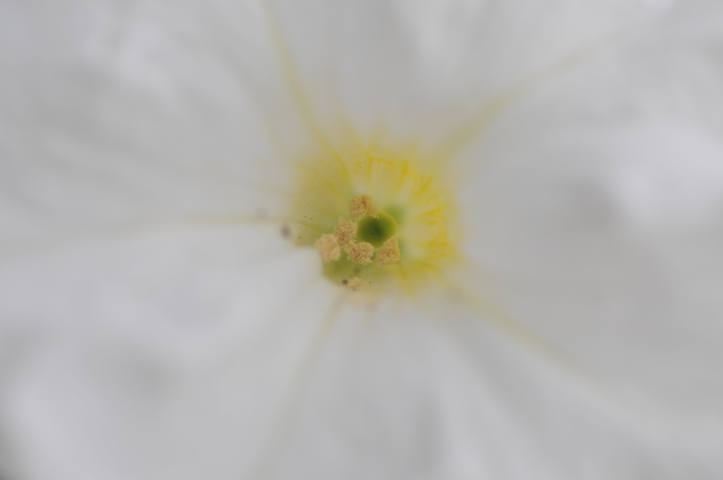 ZUN_1758