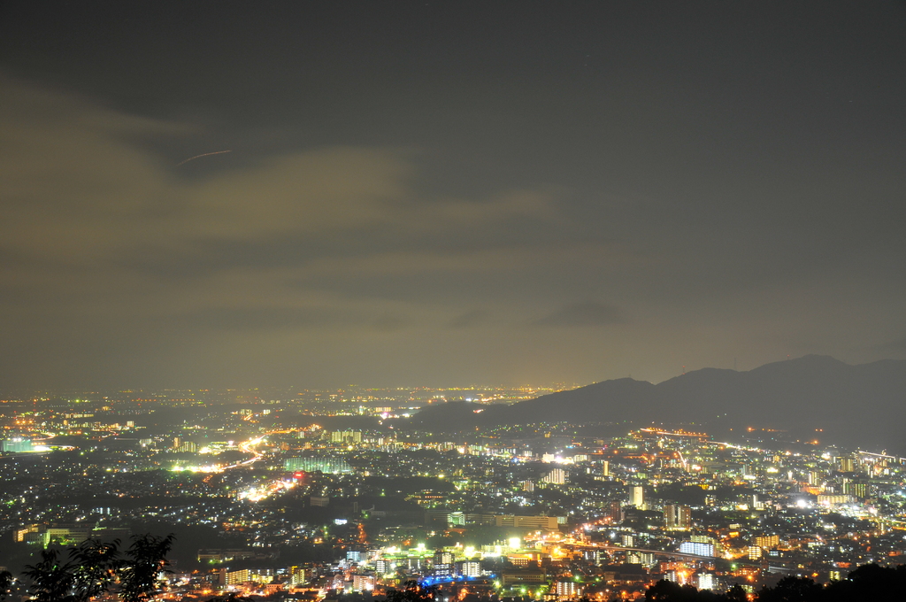 DSC_1689