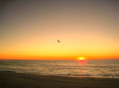 ledond beach sunset