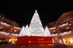PURE WHITE CHRISTMAS