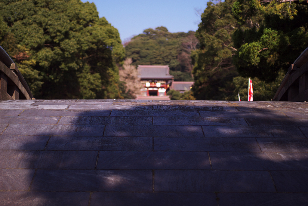 見えてきた