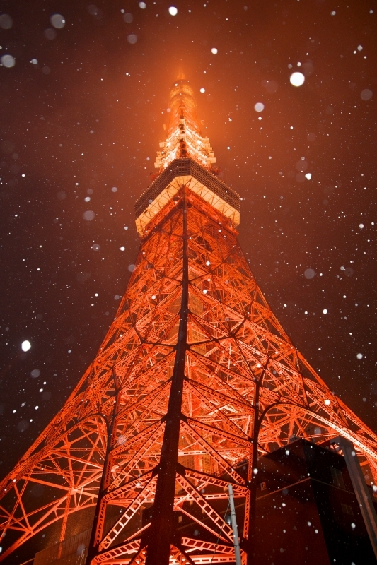雪が降ってきたんで東京タワーを撮ってみた