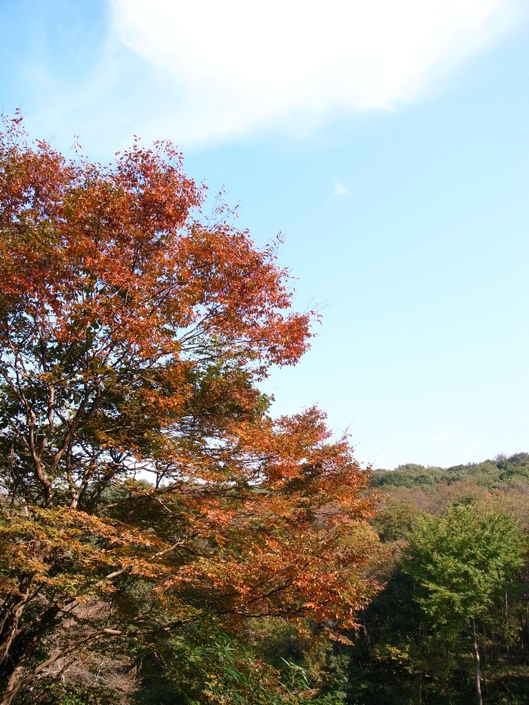 秋、見つけた！！