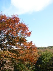 秋、見つけた！！