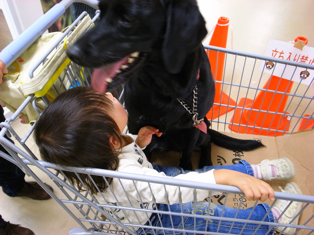 食べられる～＾＾